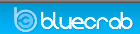 Bluecrab Web Design in Skegness Lincolnshire